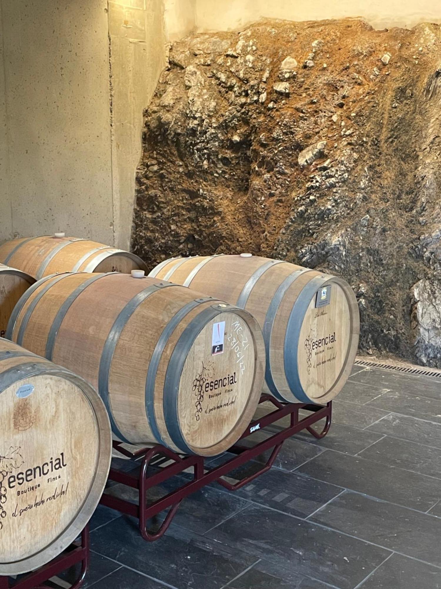 Boutique Finca Esencial 维拉弗兰卡·德尔·比尔 外观 照片