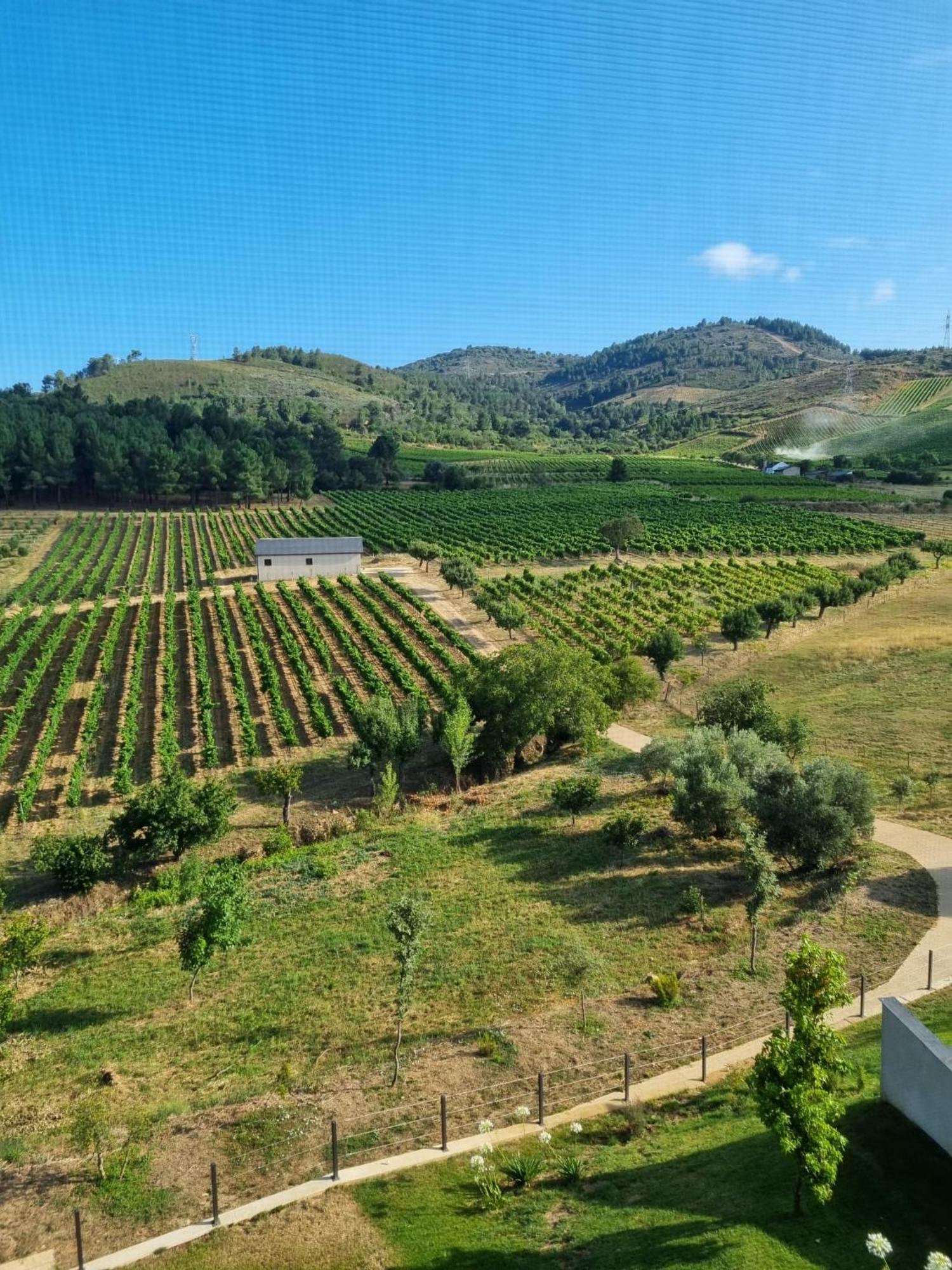 Boutique Finca Esencial 维拉弗兰卡·德尔·比尔 外观 照片